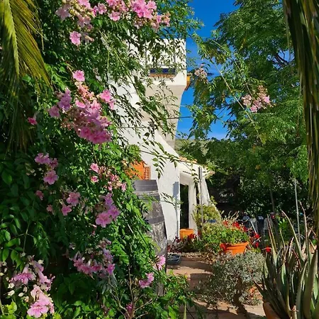 Bed & Breakfast Cortijo La Haza 4*