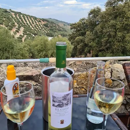 Bed & Breakfast Cortijo La Haza 4*