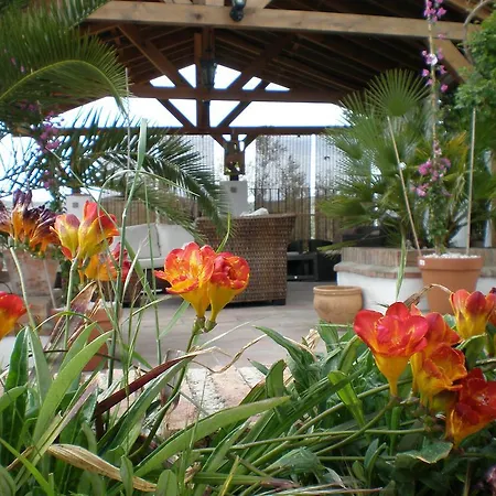 Bed & Breakfast Cortijo La Haza