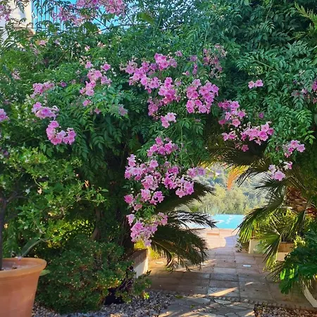 Cortijo La Haza 3* Iznájar
